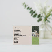 白いシカの名刺 名刺 (スタンド正面)