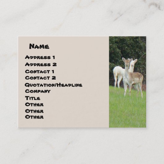 白いシカの名刺 名刺 (正面)