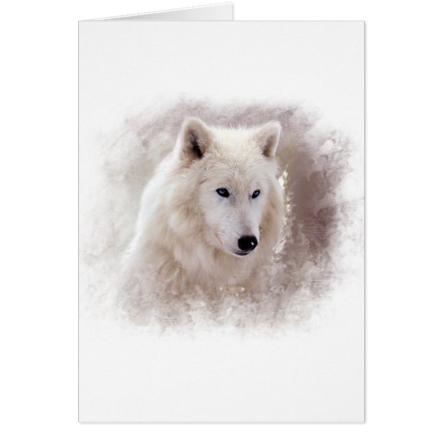 白いシベリアンハスキー (正面)