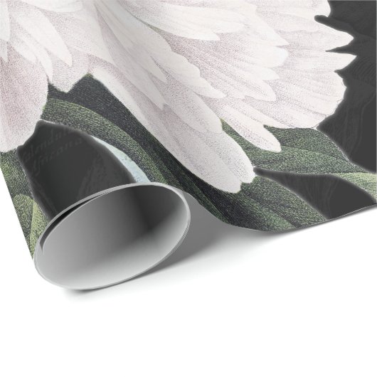 白いシャクヤクの黒のレース ラッピングペーパー (ロールコーナー)