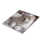 白いシュークリームのチャウチャウの子犬 タイル (側面)