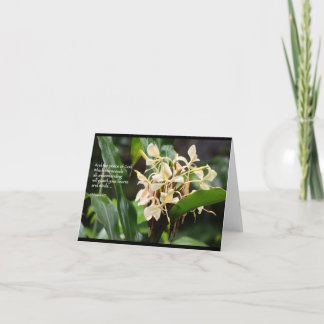 白いショウガの聖なる書物、経典カード カード