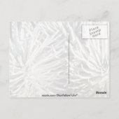 白いシルバーソードの花、ハワイの花 ポストカード (裏面)