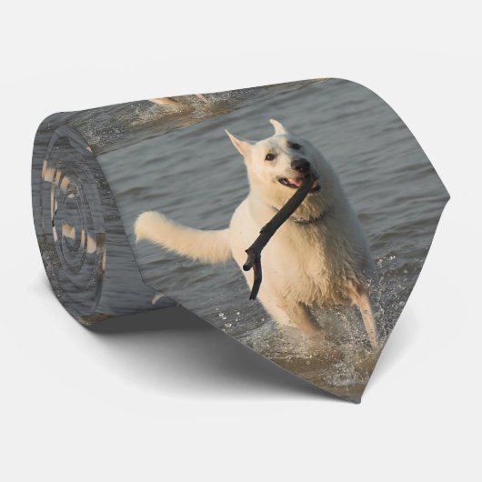 白いジャーマン・シェパードのタイ4 ネクタイ (ロール)