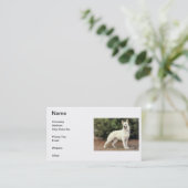 白いジャーマン・シェパードの名刺 名刺 (スタンド正面)