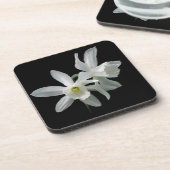 白いスイセン コースター (左側)