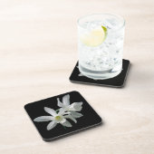 白いスイセン コースター (右側)