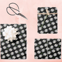 白いスイレンと黒い背景 – フローラ