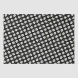 白いスイレンと黒い背景 – フローラ 薄葉紙