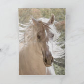 白いスタリオングロー – 馬のグリーティングカード カード (内部)