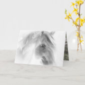 白いスタリオングロー – 馬のグリーティングカード カード (黄色い花)