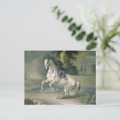 白いスタリオン'ラル'en levade, 1721 ポストカード (スタンド正面)