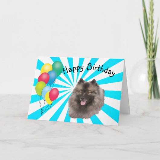 白いスターバストのハッピーバースデーのKeeshond カード (正面)