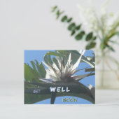 白いストレリチアの花の回復おめでとうポストカード ポストカード (スタンド正面)