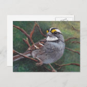 白いスロアワバードアートハガキ ポストカード (正面/裏面)