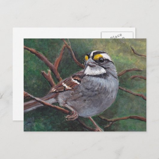 白いスロアワバードアートハガキ ポストカード (正面/裏面)