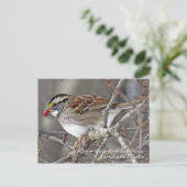 白いスロウの葉書 ポストカード (スタンド正面)