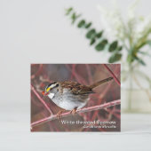 白いスロウの葉書 ポストカード (スタンド正面)