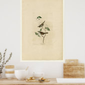 白いスロウ_Audubon ポスター (キッチン)
