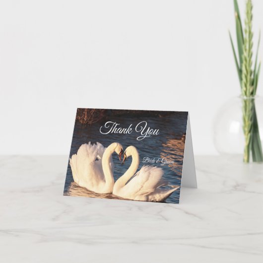 白いスワンの感謝カード サンキューカード (正面)