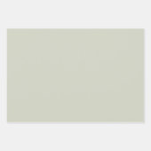 白いセージ無地のカラー ラッピングペーパーシート (正面2)