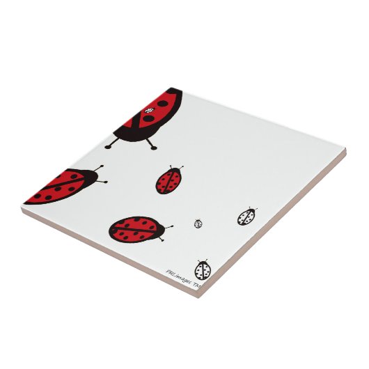 白いタイルの8匹のてんとう虫 タイル (側面)