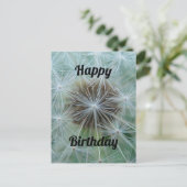 白いタンポポのポストカード ポストカード (スタンド正面)