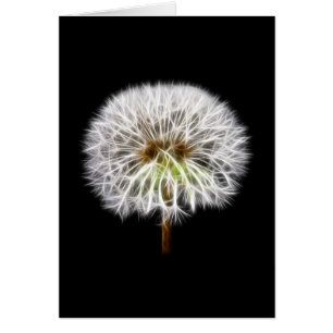 白いタンポポの花の植物