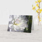 白いダリアの挨拶状 カード (黄色い花)