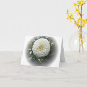 白いダリアの花 カード (黄色い花)