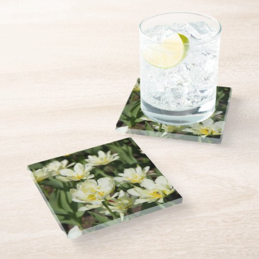白いチューリップのフィールド写真 ガラスコースター (アングル)