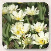 白いチューリップのフィールド写真 コースター (正面)
