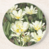 白いチューリップのフィールド写真 コースター (正面)