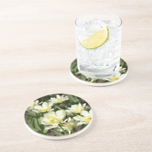 白いチューリップのフィールド写真 コースター (側面)