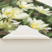 白いチューリップのフィールド写真 シェルパブランケット (3/4)