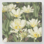 白いチューリップのフィールド写真 ストーンコースター (正面)