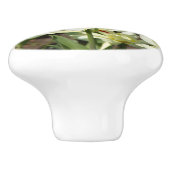 白いチューリップのフィールド写真 セラミックノブ (側面)