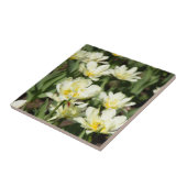 白いチューリップのフィールド写真 タイル (側面)