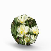 白いチューリップのフィールド写真 フォトブロック (右)