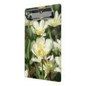 白いチューリップのフィールド写真 ミニクリップボード (アングル2)