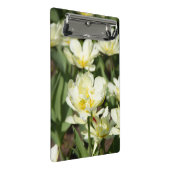 白いチューリップのフィールド写真 ミニクリップボード (アングル)