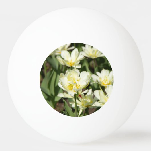 白いチューリップのフィールド写真 卓球ボール (正面)