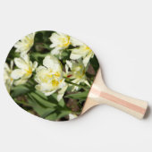 白いチューリップのフィールド写真 卓球ラケット (横)