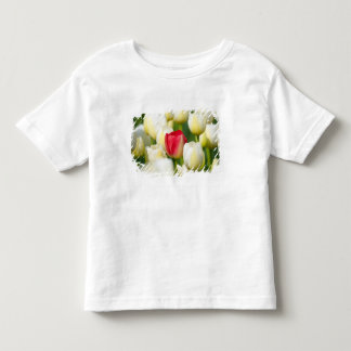 白いチューリップの分野の赤いチューリップ トドラーTシャツ