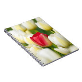 白いチューリップの分野の赤いチューリップ ノートブック (右側)