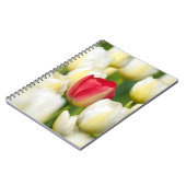 白いチューリップの分野の赤いチューリップ ノートブック (左側)