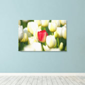 白いチューリップの畑の赤いチューリップ キャンバスプリント (インサイチュ (ウッドフロア))