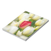 白いチューリップの畑の赤いチューリップ ノートパッド (回転)