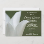 白いチューリップの花 春の分点のお祝い 招待状 (正面)