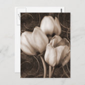白いチューリップフラワーセピアブラック背景フローラ ポストカード (正面/裏面)